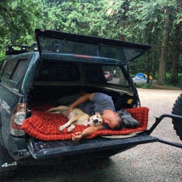 Dog