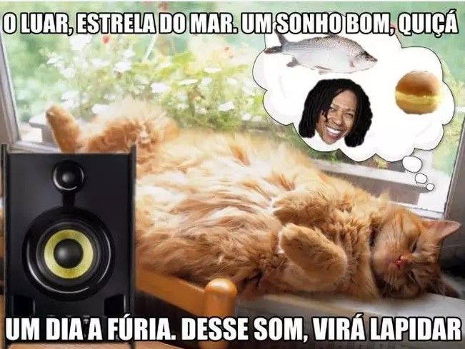 Djavan meme
