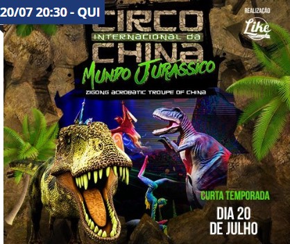Circo Internacional da China