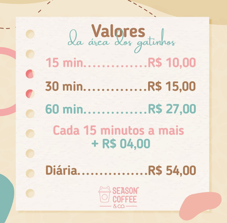 Vídeo fofo de gatinho