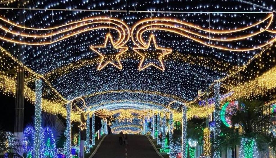Rua Iluminada da Família Moletta tem a maior árvore de natal da capital